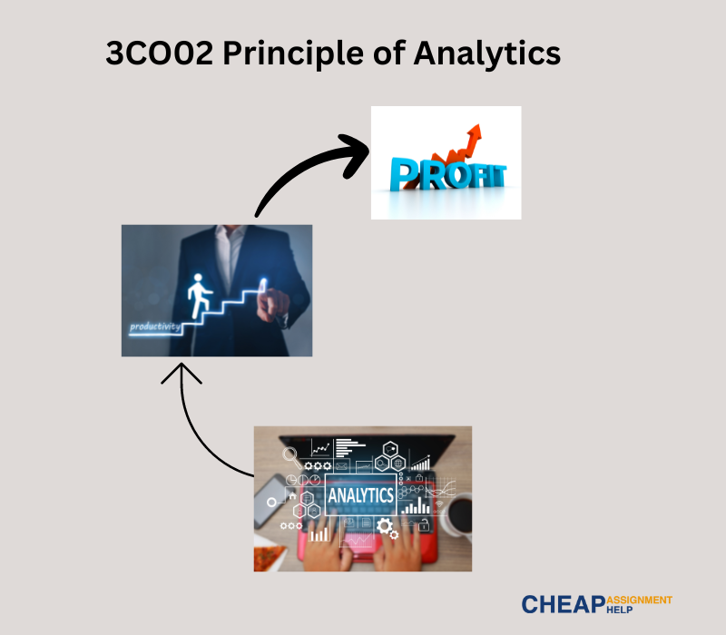 3CO02 Principles of Analytics Assignment Example